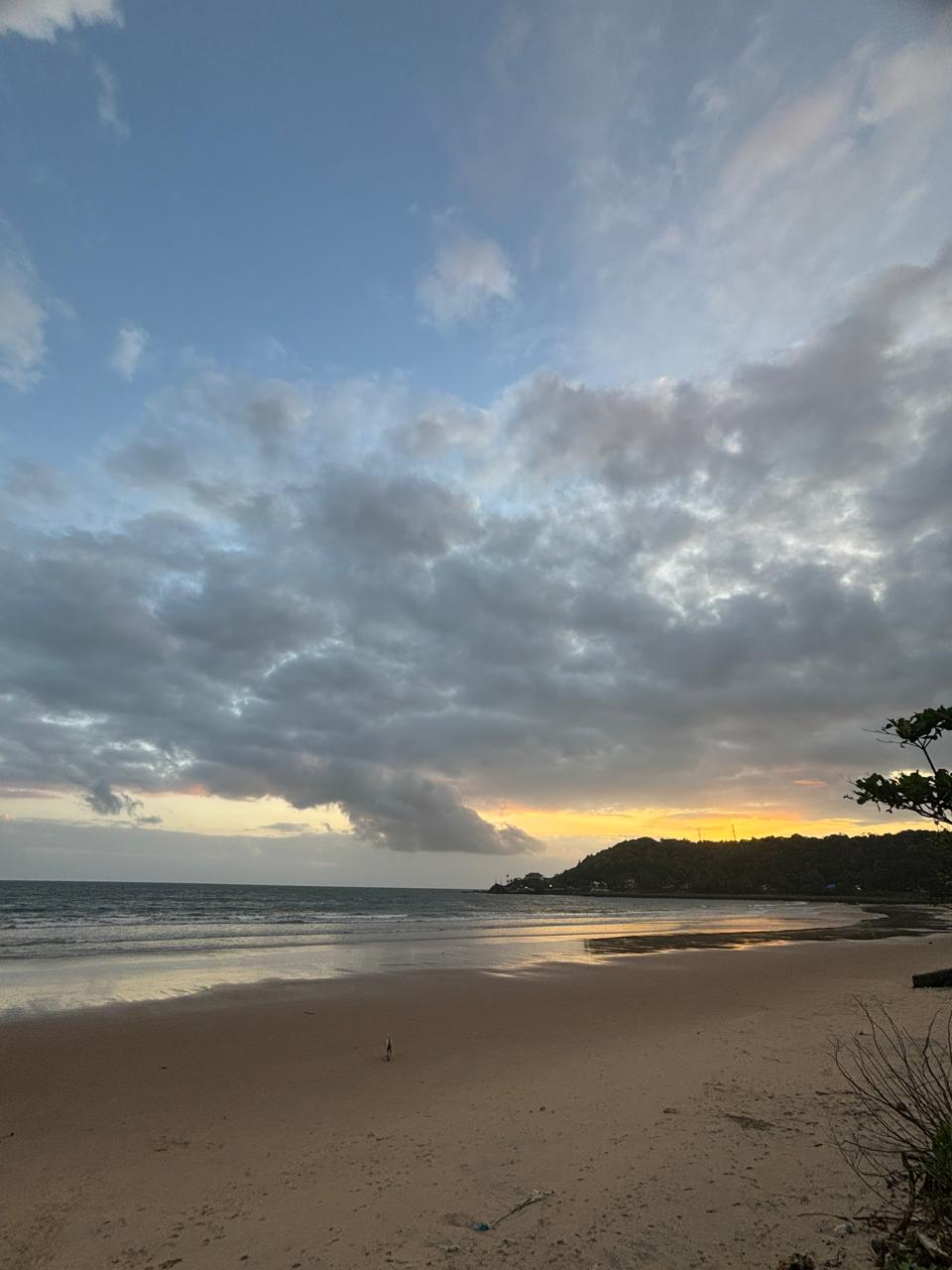 Sunset Video